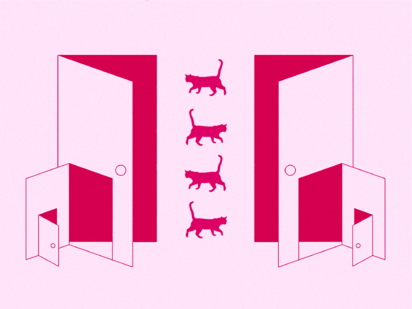 Graphic with a series of doors and four cats