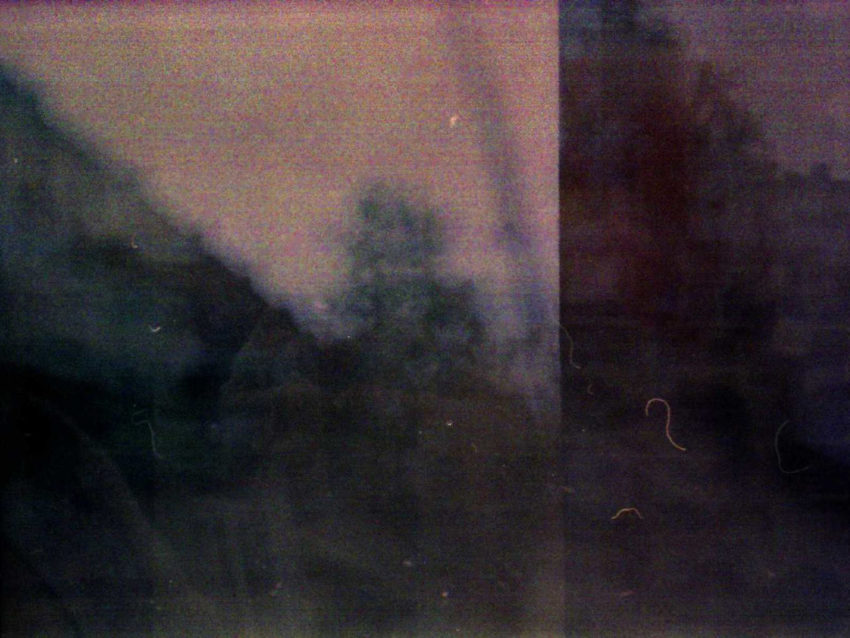 Blurred photograph of trees with barely distinguishable reflection of two people