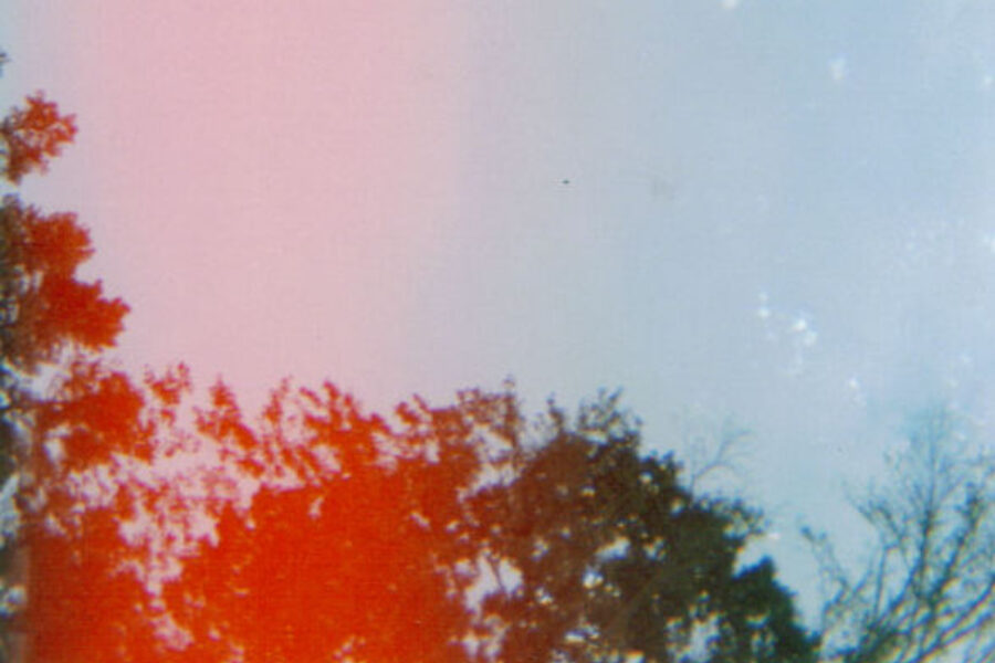 Derrick Tyson / Creative Commons