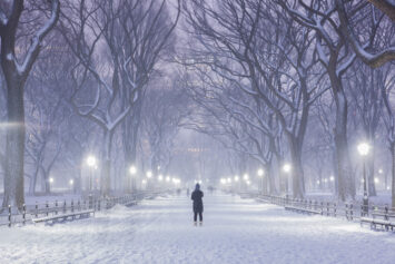 Central Park in the snow