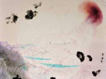 Paul Oakes / Creative Commons