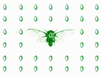 Graphic with green flies. Illustration by Laura Padilla Castellanos