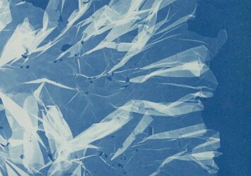 Blue and white abstract shapes. Anna Atkins, Ulva latissima, ca. 1843–53. Courtesy Rijskmuseum.
