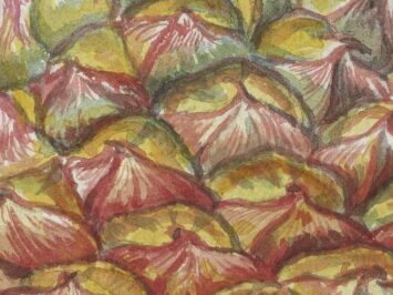 Jan Brandes, Ananas, 1785. Courtesy Rijksmuseum, Amserdam.