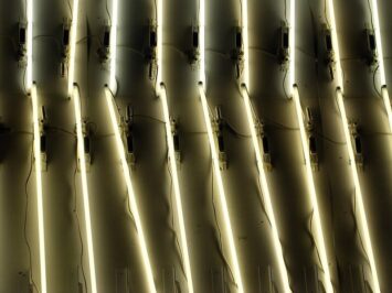 Neon lights in vertical stripes. Hendrik Dacquin / Creative Commons