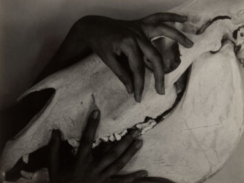 Georgia O’Keeffe, Hands and Horse Skull, Alfred Stieglitz, 1931. From the Art Institute of Chicago.