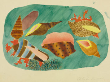 Mary Altha Nims, Shells in Seaweed, 1934. From the Cleveland Museum of Art.