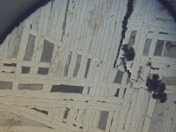 “Specimen from Antarctica,” 2018. From the National Museum of Natural History.