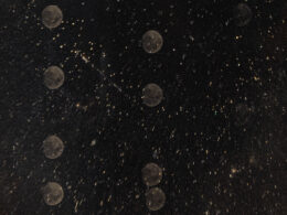 Antoine-François-Jean Claudet, “[Multiple Exposures of the Moon],” 1846-52. Courtesy Metropolitan Museum of Art, New York.